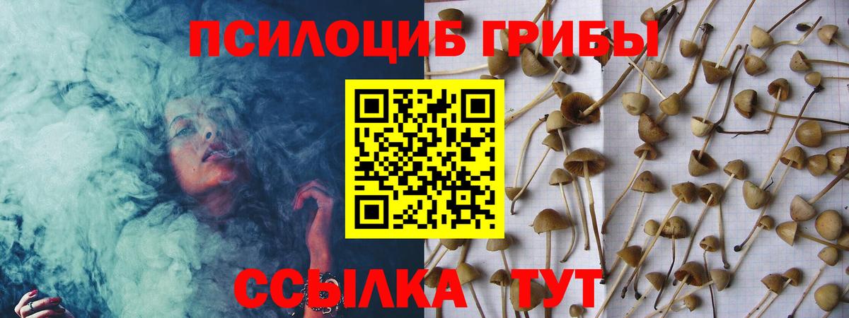 Кимры  Галлюциногенные грибы Magic Shrooms  Вход с VPN  Галлюциногенные грибы мицелий 