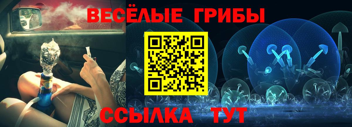 Псилоцибиновые грибы Cubensis Кимры
